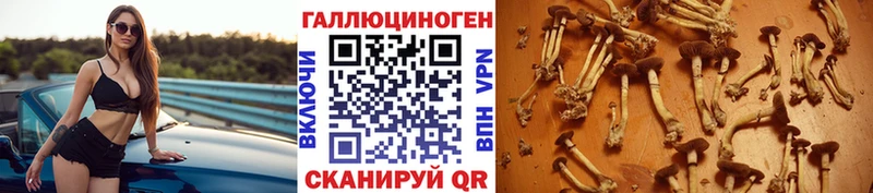 Галлюциногенные грибы Magic Shrooms  дарнет шоп  маркетплейс телеграм  Новочебоксарск 